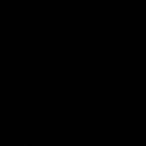 Meet your Posher, Maddie